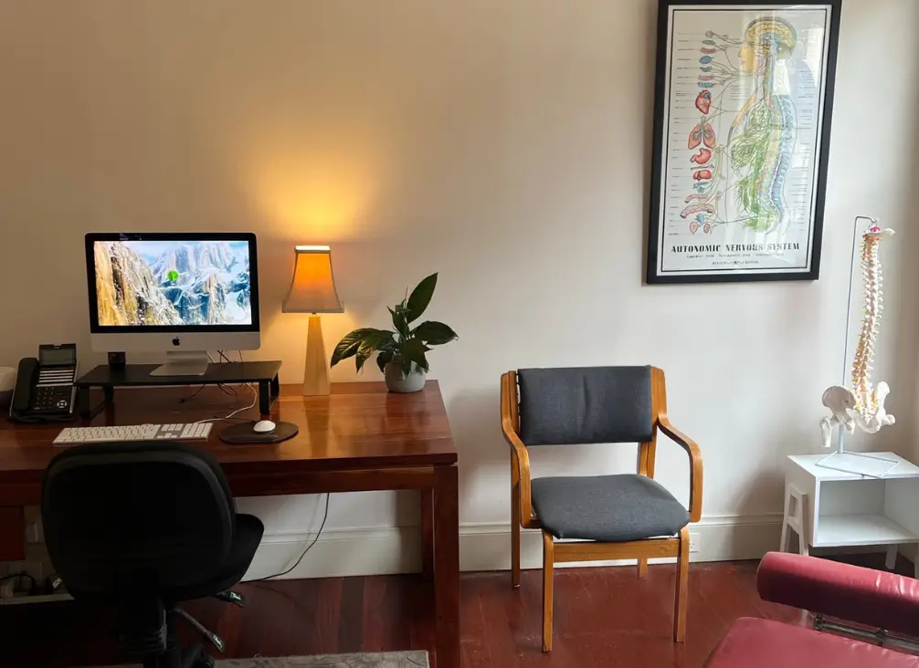 Chiropractor Melbourne consultation room with spine model and autonomic nervous system chart