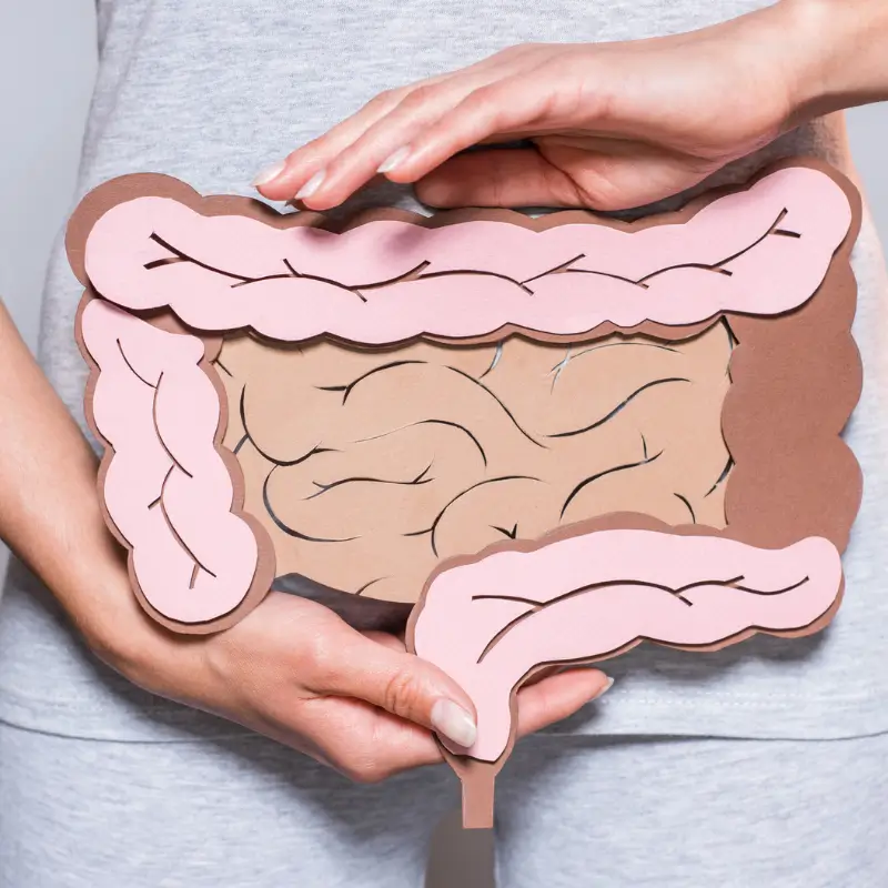 Woman holding paper cut-out of large intestine representing colon health
